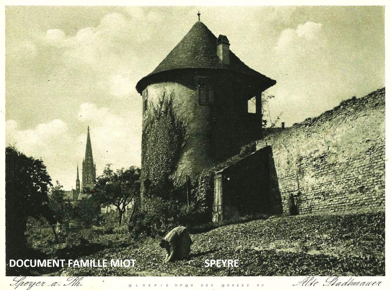 146   SPEYER Travail a contre-sens.jpg